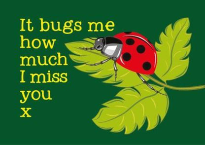 I Miss You - Ladybug Thinking Of You Greeting Card.