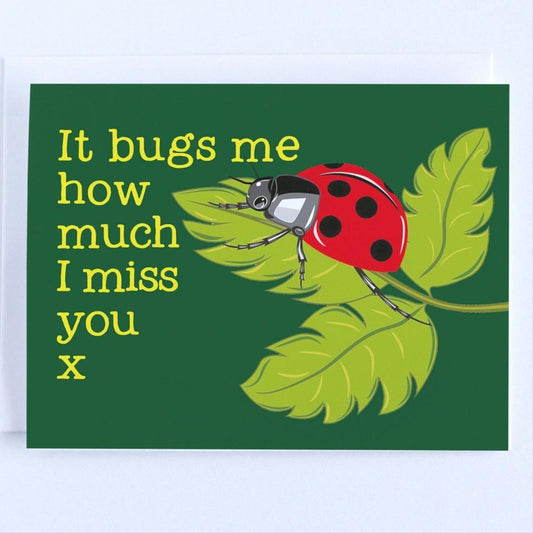 I Miss You - Ladybug Thinking Of You Greeting Card.